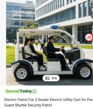 Open-air 4-seater electric utility patrol vehicle