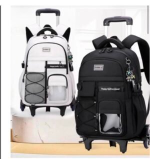 Portable bag